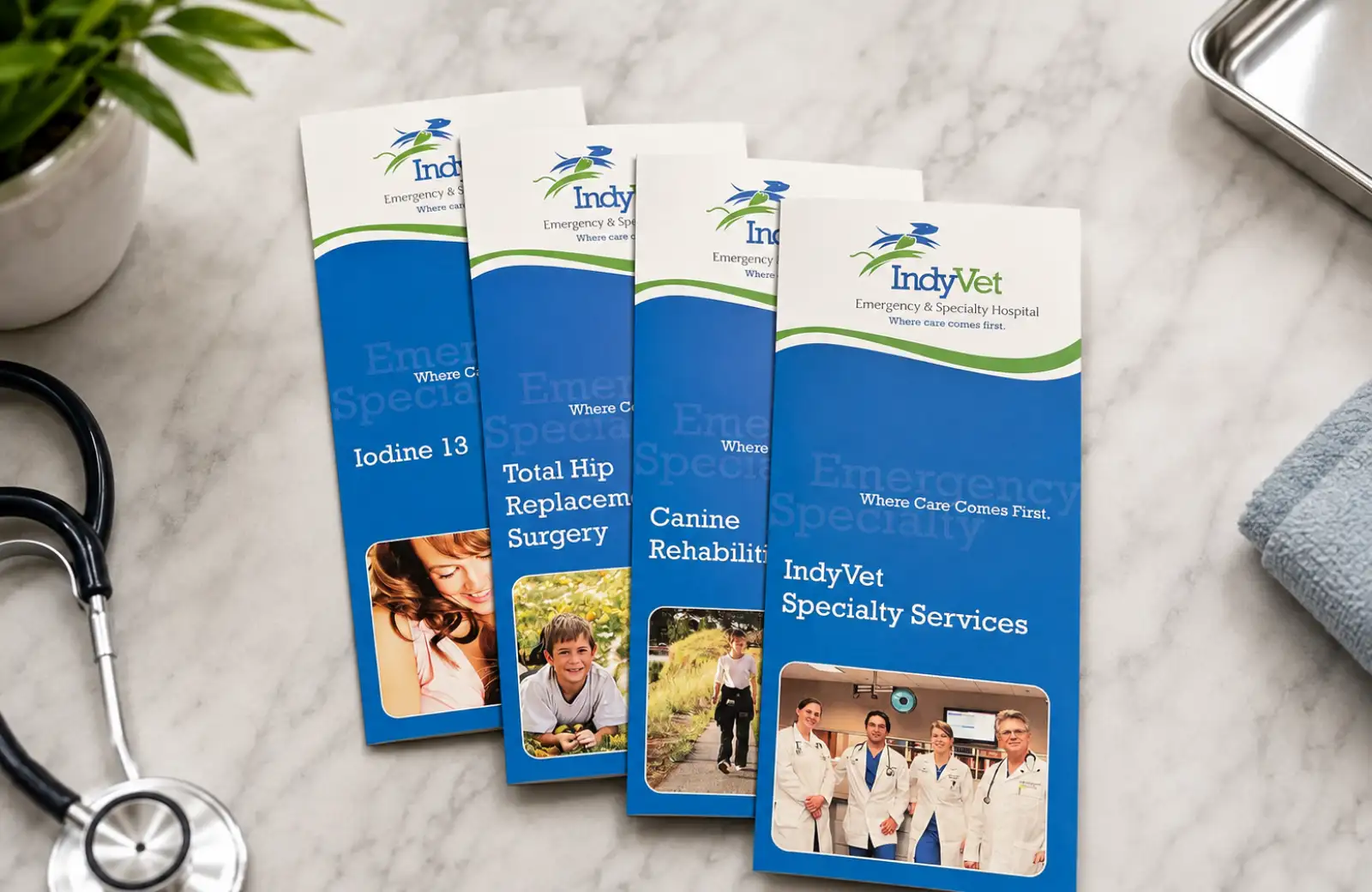 Four IndyVet tri-fold specialty brochures covering veterinary services and procedures