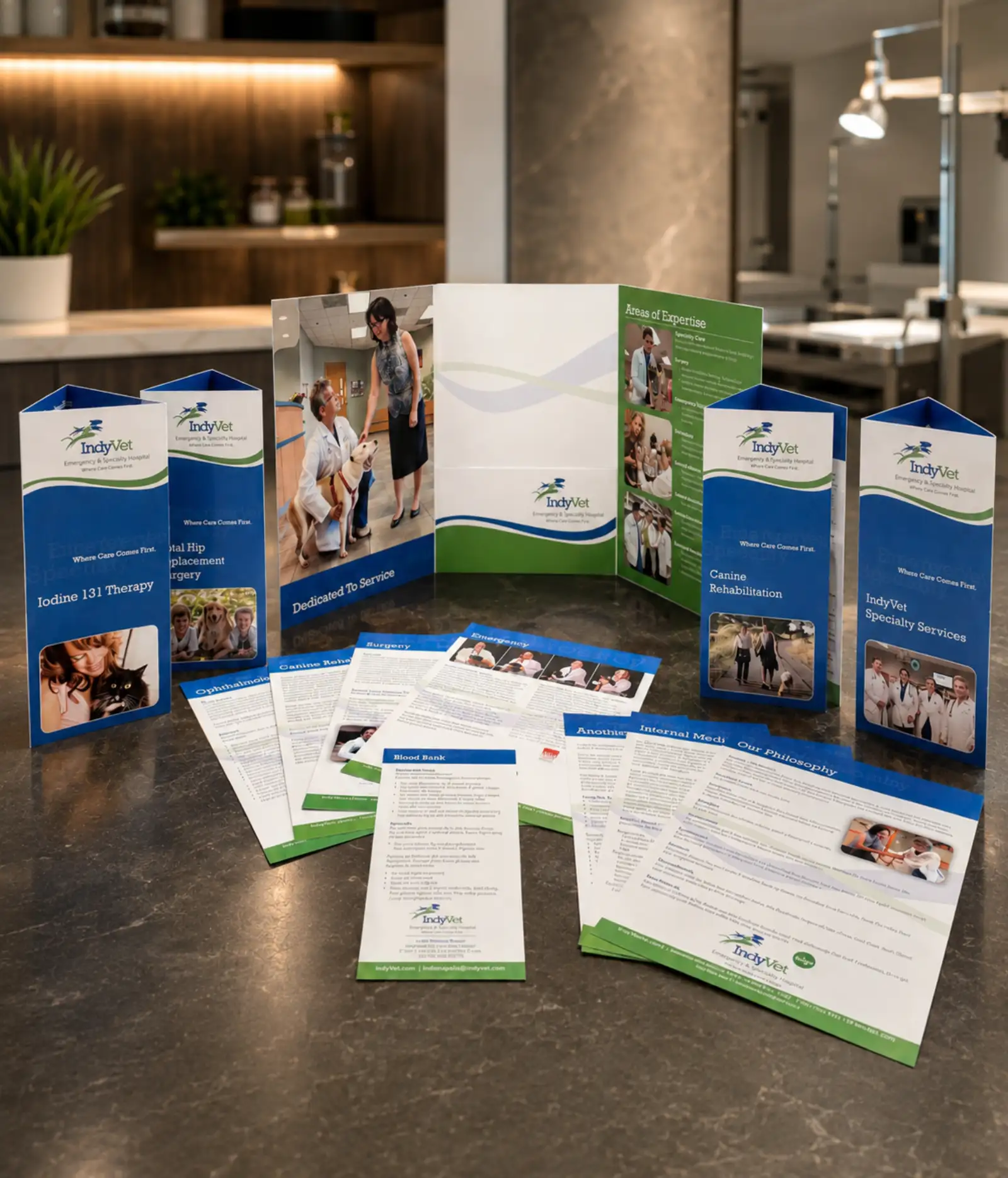 IndyVet Emergency & Specialty Hospital collateral system