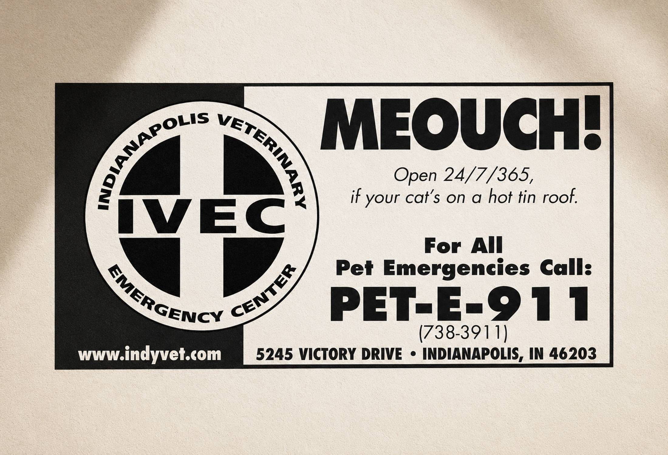 Preview graphic for IVEC print campaign case study